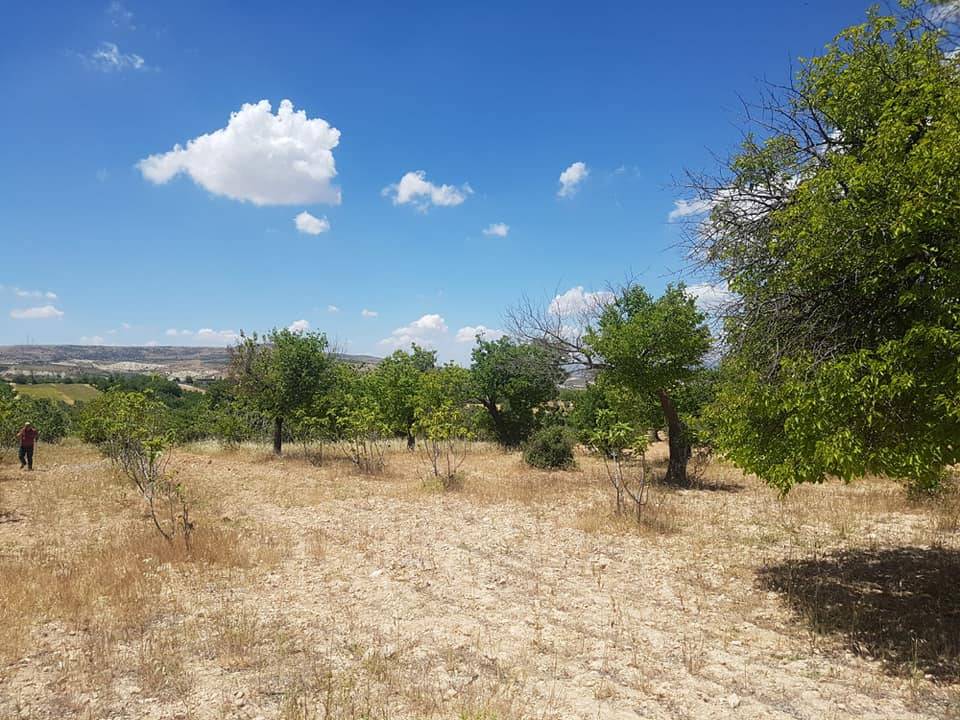 Şahinbey Yeşilpınar Köyü Resimleri 1