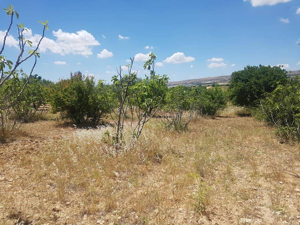 Şahinbey Yeşilpınar Köyü Resimleri 2