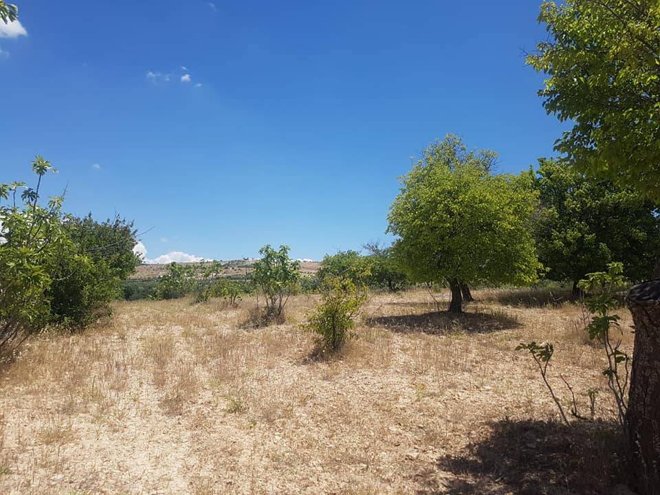 Şahinbey Yeşilpınar Köyü Resimleri 4