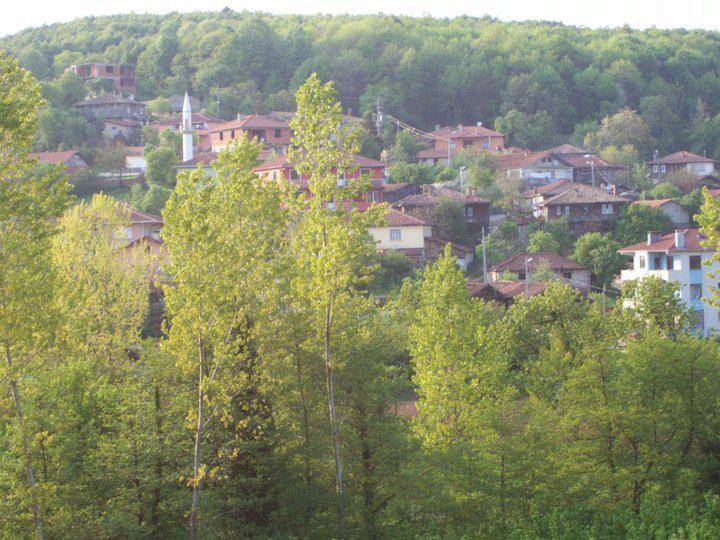 Şile Ağaçdere Köyü Resimleri 2