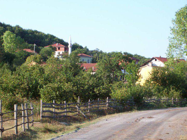 Şile Ağaçdere Köyü Resimleri 5