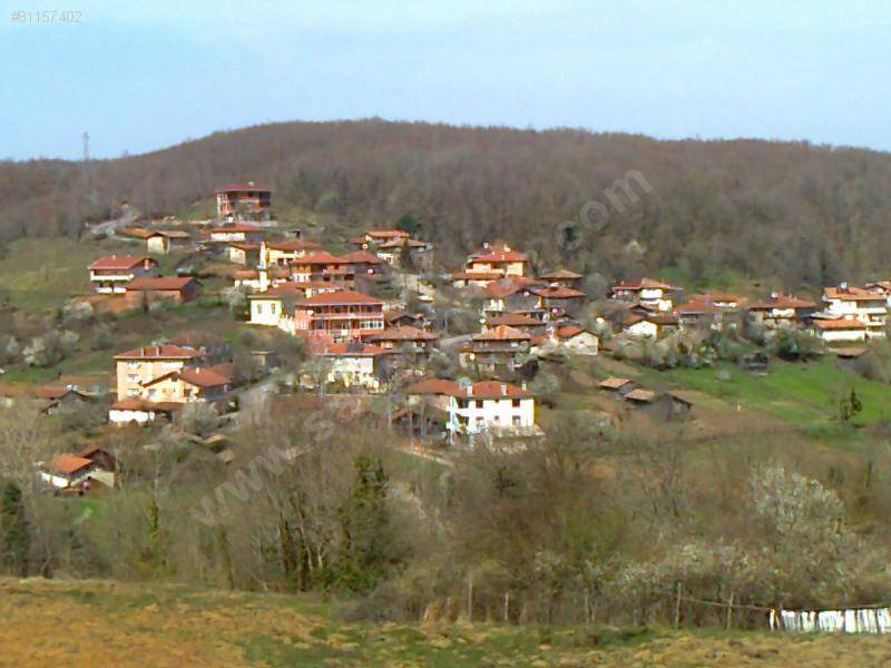 Şile Ağaçdere Köyü Resimleri 6