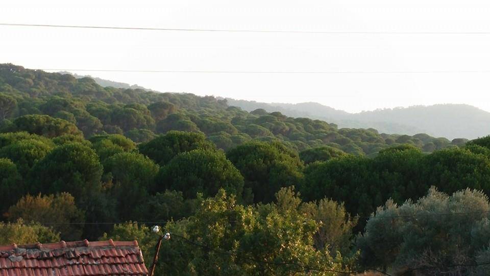 Bergama Aşağıbey Köyü Resimleri 1