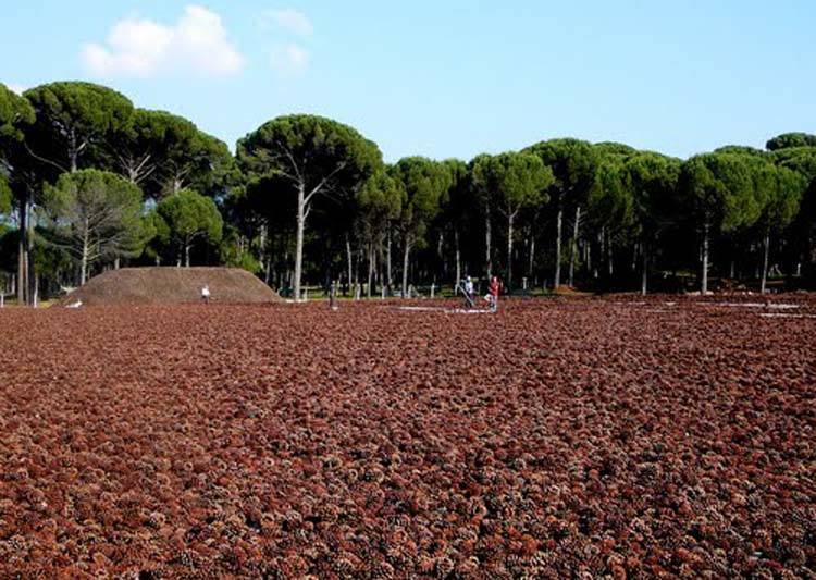 Bergama Aşağıcuma Köyü Resimleri 3