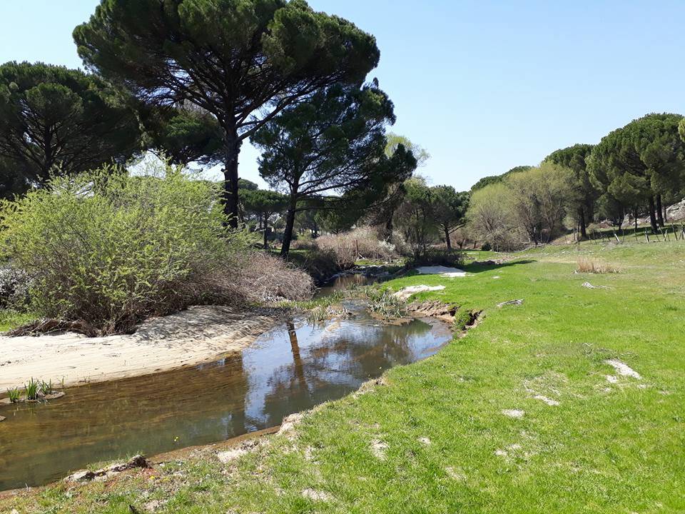Bergama Aşağıcuma Köyü Resimleri 6