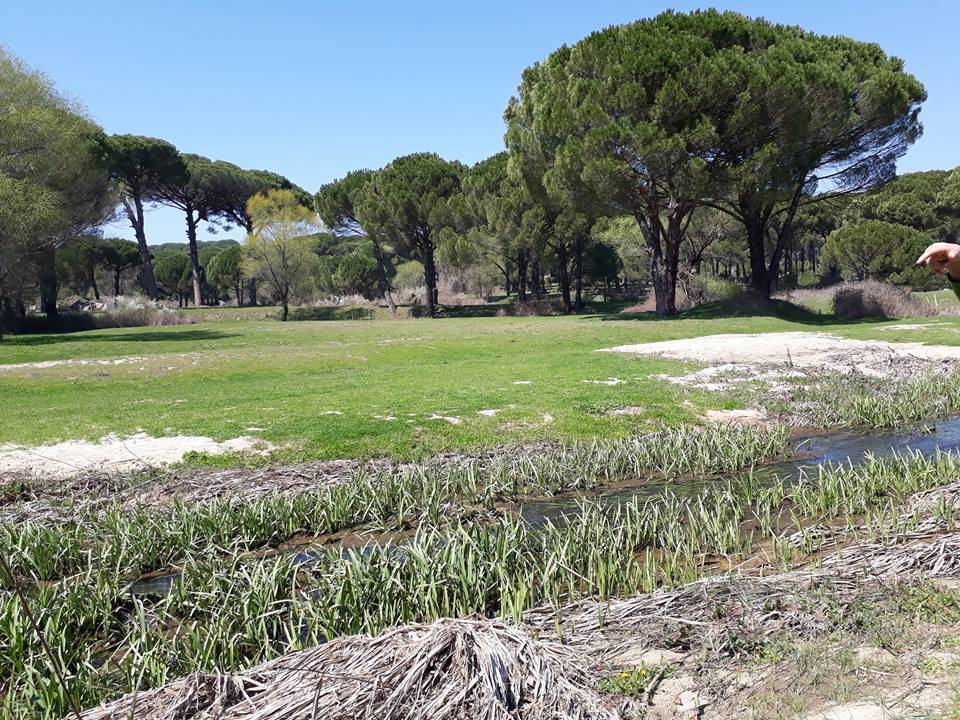 Bergama Aşağıcuma Köyü Resimleri 8