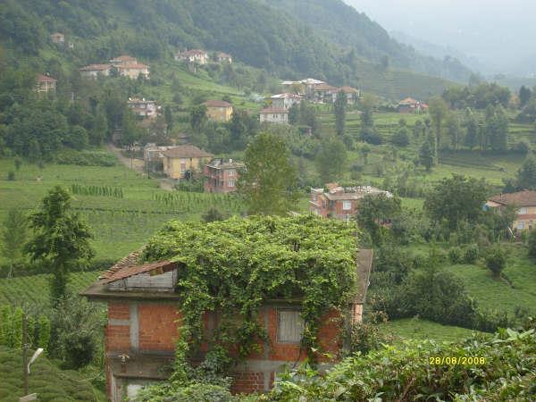 İyidere Denizgören Köyü Resimleri 5