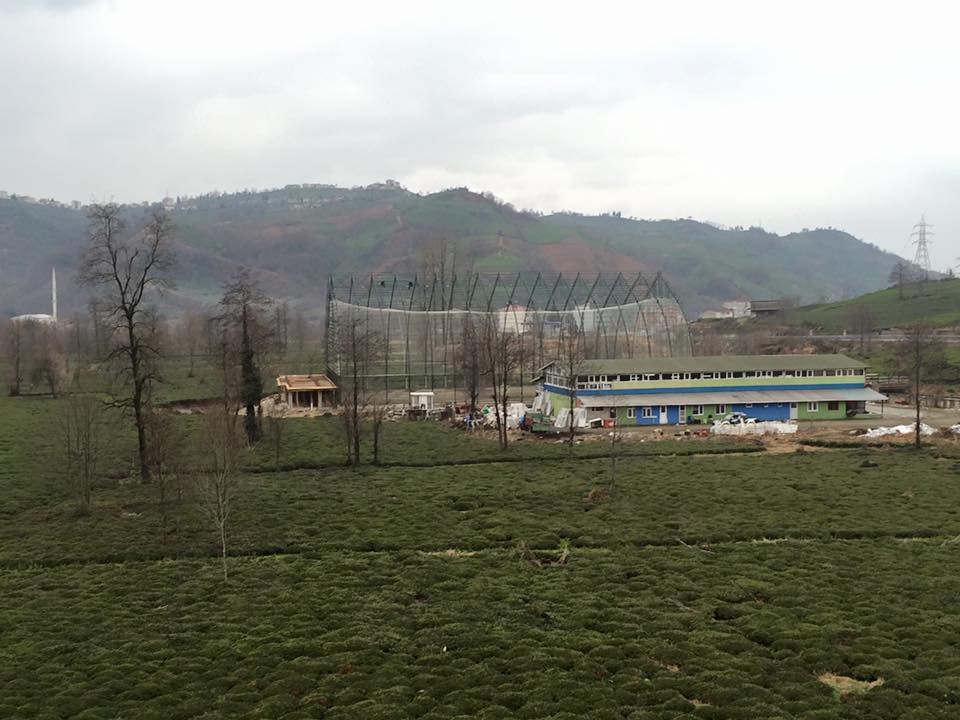 İyidere Denizgören Köyü Resimleri 7