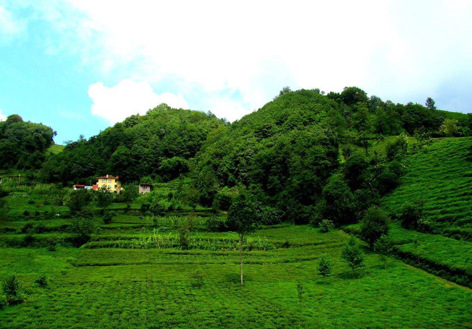 İyidere Denizgören Köyü Resimleri 8