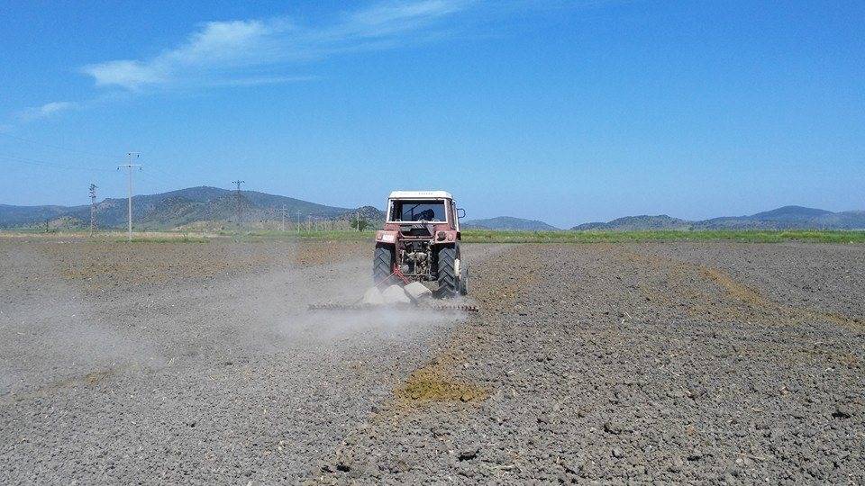 Bergama Aşağıkırıklar Köyü Resimleri 1