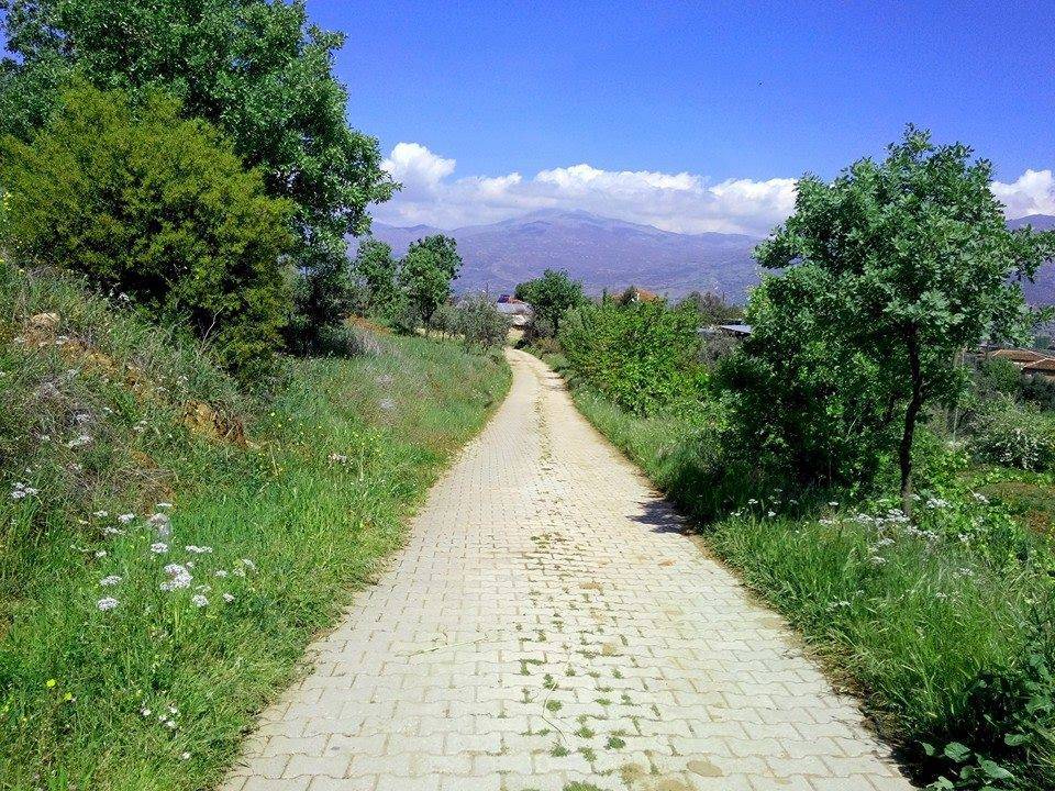 Bergama Avunduruk Köyü Resimleri 1