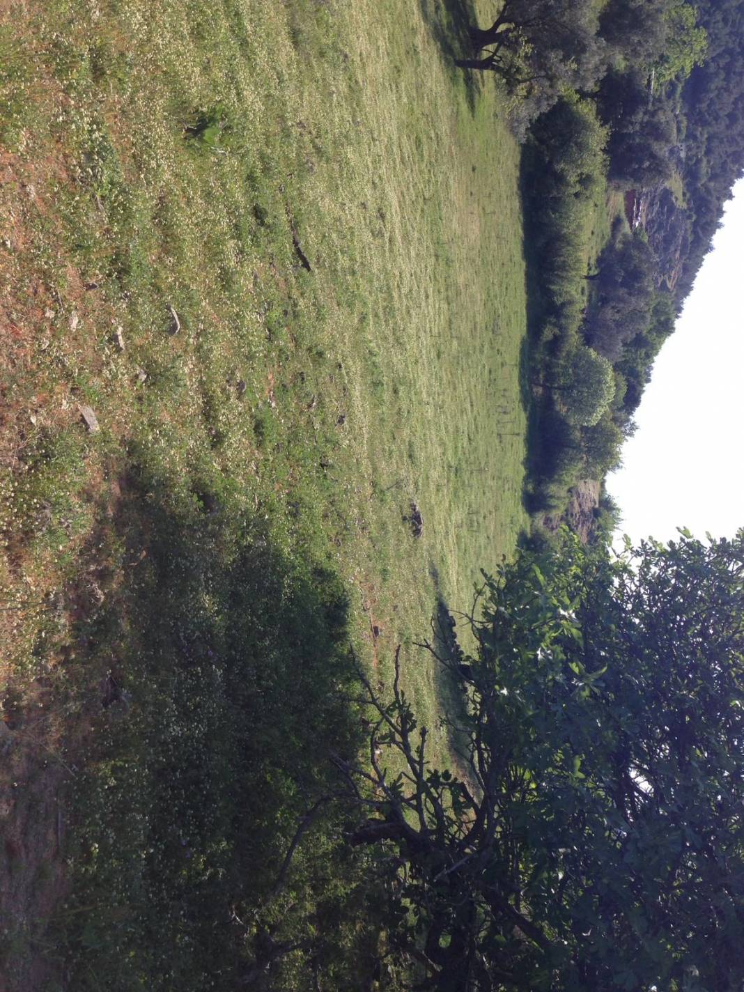 Bergama Avunduruk Köyü Resimleri 5