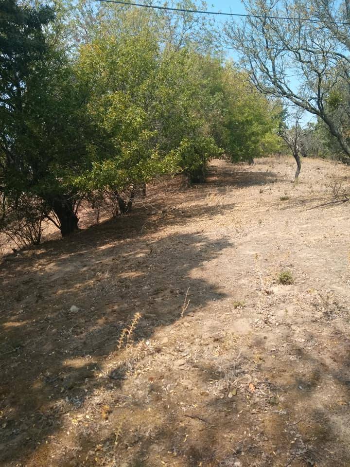 Bergama Avunduruk Köyü Resimleri 8