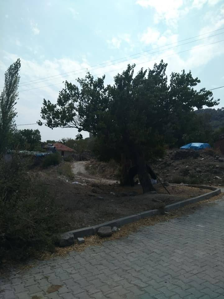 Bergama Avunduruk Köyü Resimleri 9