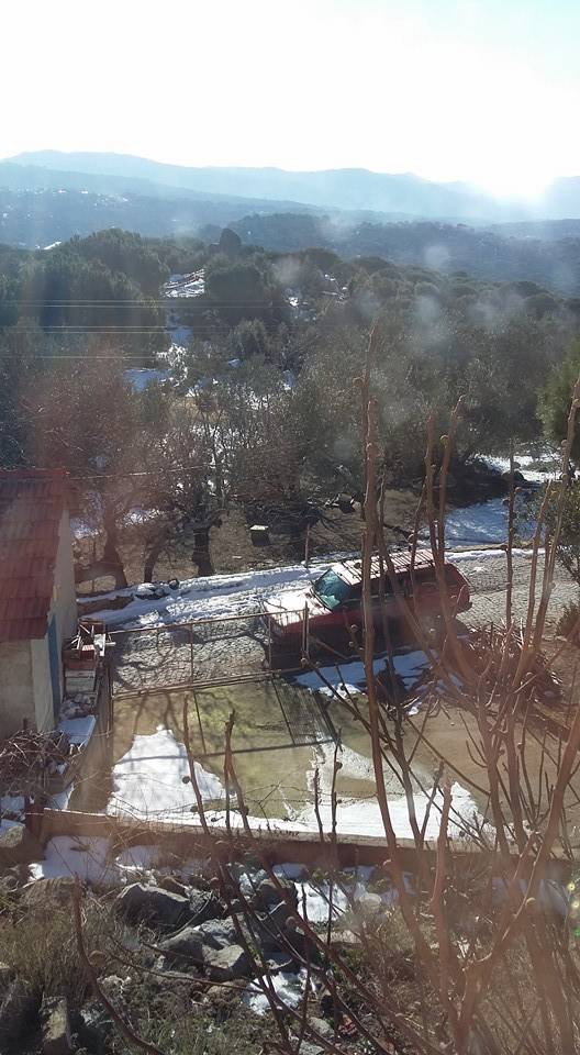 Bergama Ayvatlar Köyü Resimleri 1