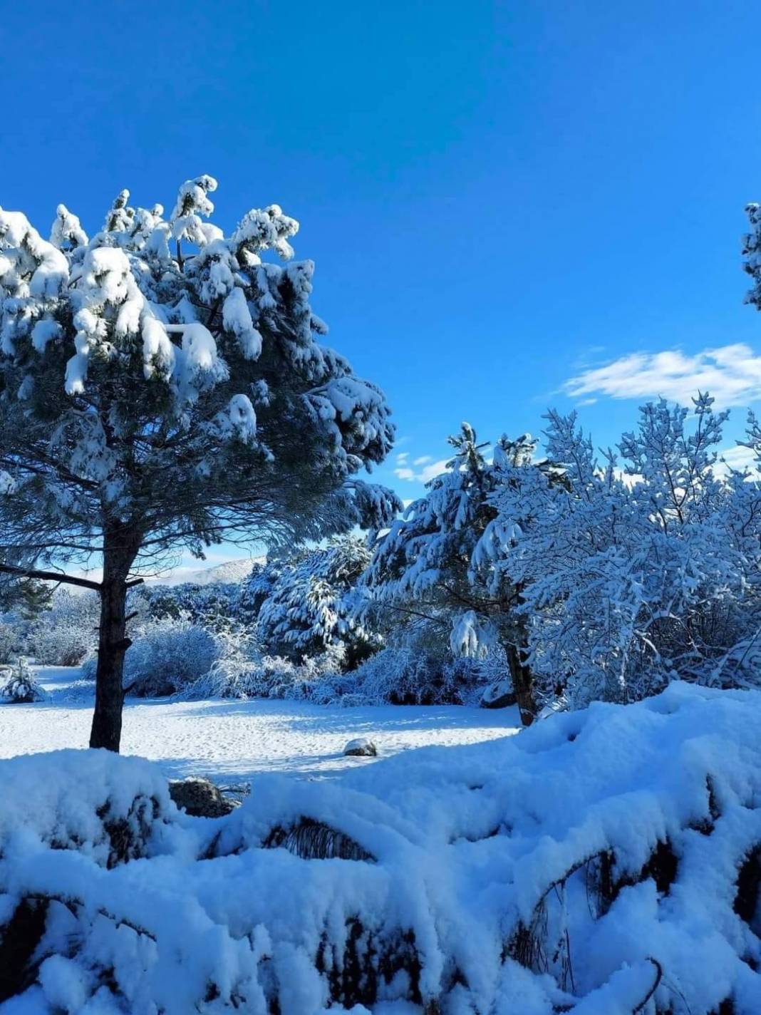 Bergama Ayvatlar Köyü Resimleri 7