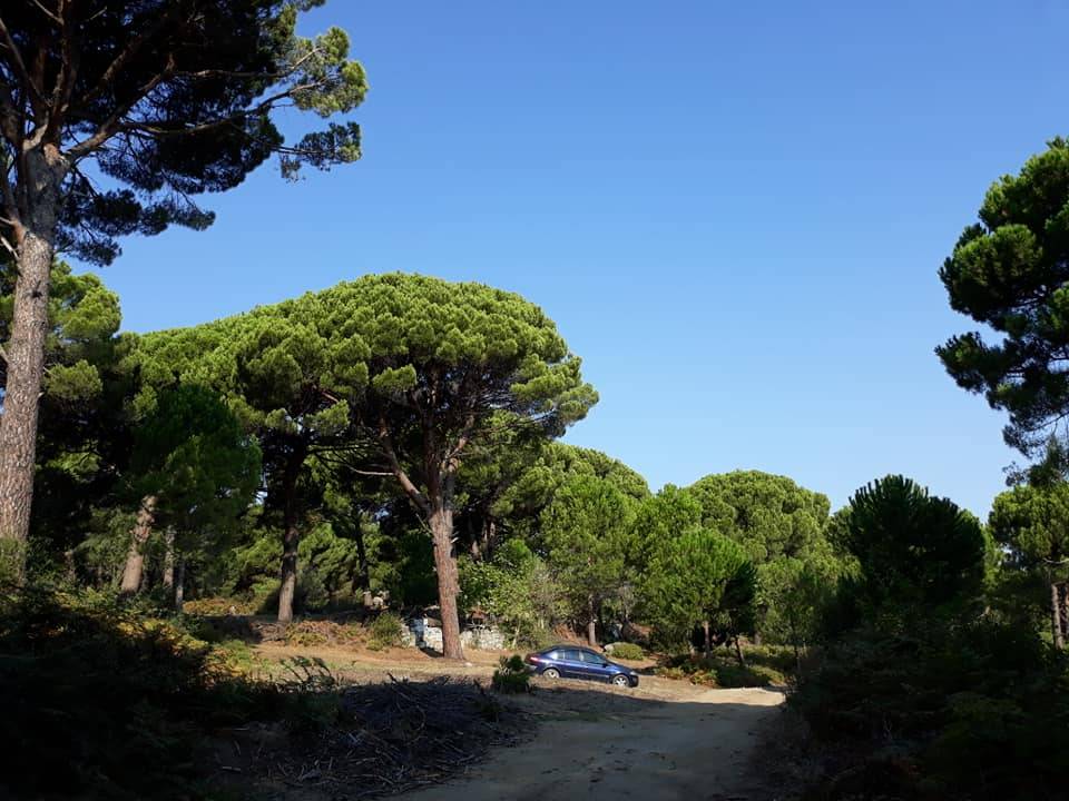 Bergama Ayvatlar Köyü Resimleri 9