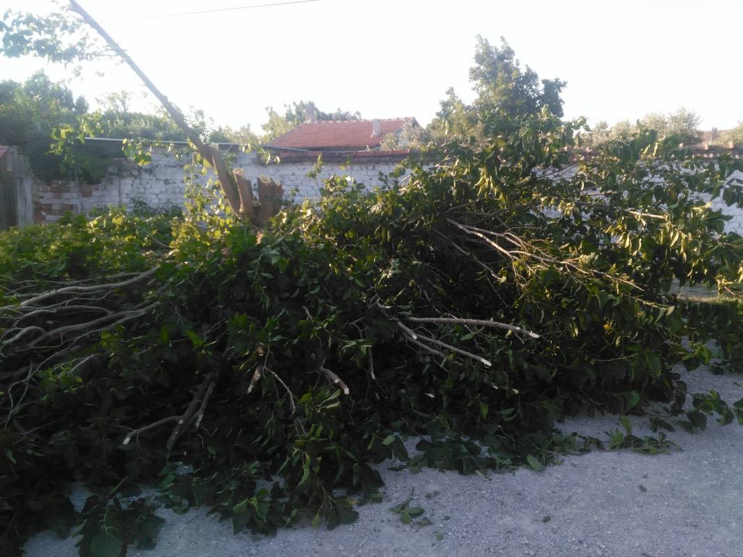 Bergama Aziziye Köyü Resimleri 1