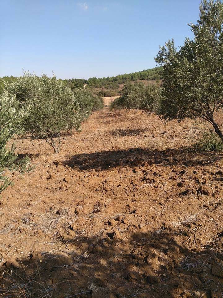 Bergama Balaban Köyü Resimleri 1