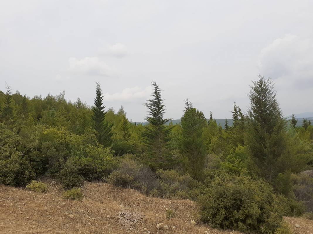 Bergama Balaban Köyü Resimleri 5