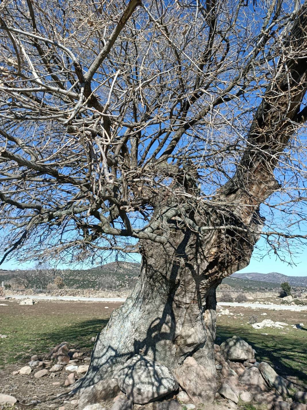 Bergama Bayramcılar Köyü Resimleri 9