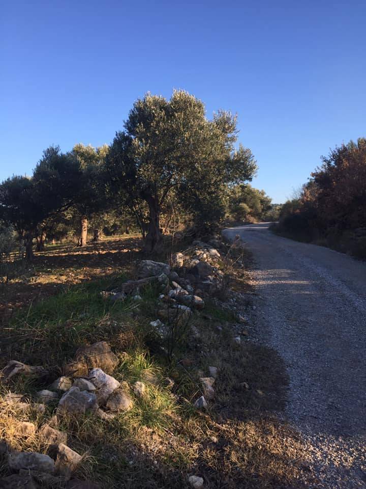 Bergama Bozköy Köyü Resimleri 1