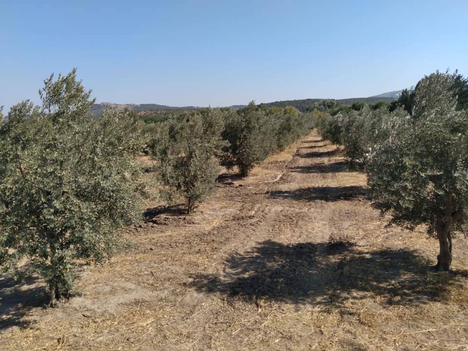 Bergama Bozköy Köyü Resimleri 8