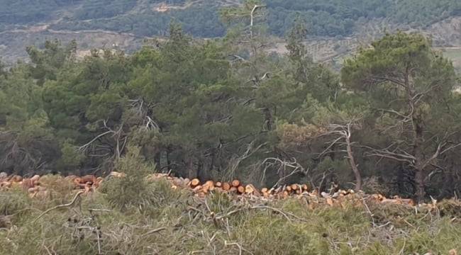 Bergama Cevaplı Köyü Resimleri 1