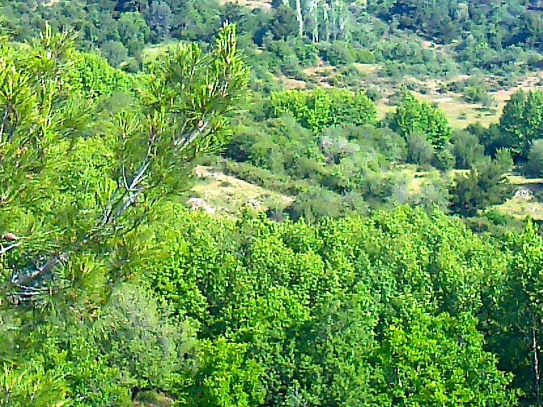 Bergama Çakırlar Köyü Resimleri 1