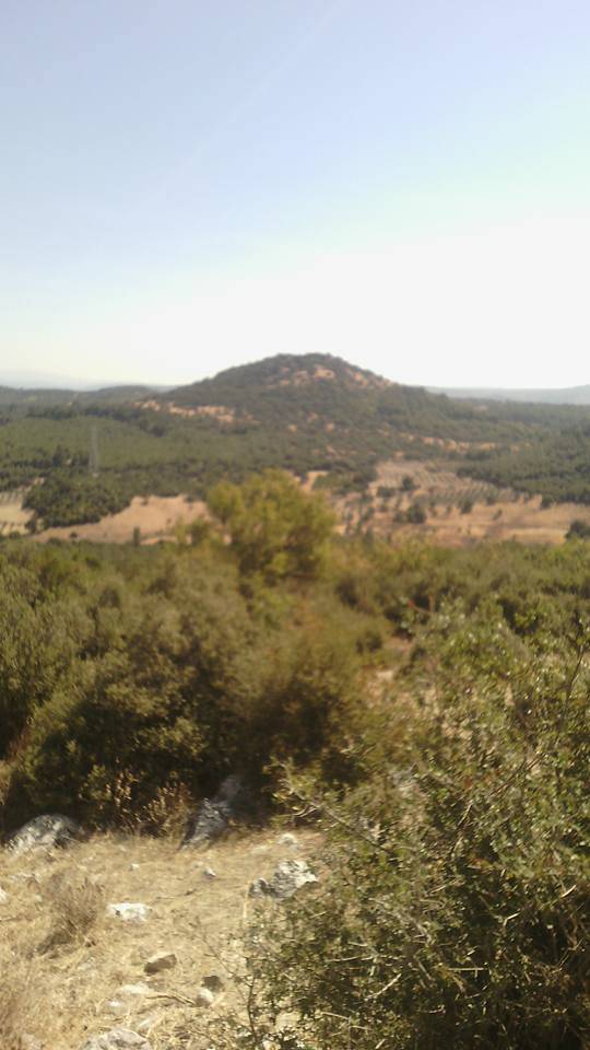 Bergama Çalıbahçe Köyü Resimleri 1