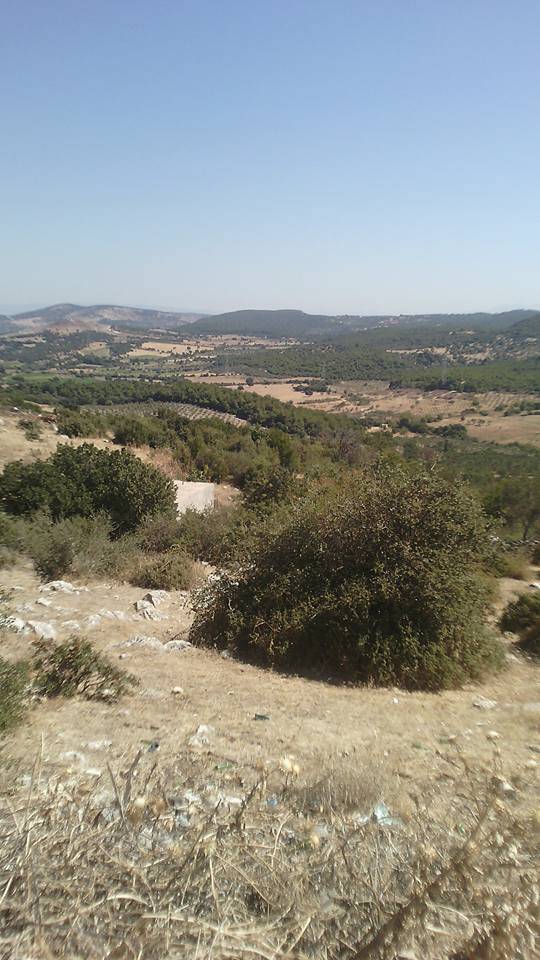 Bergama Çalıbahçe Köyü Resimleri 3