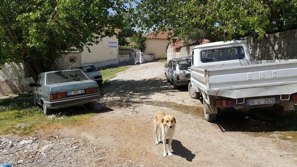 Bergama Çaltıkoru Köyü Resimleri 1