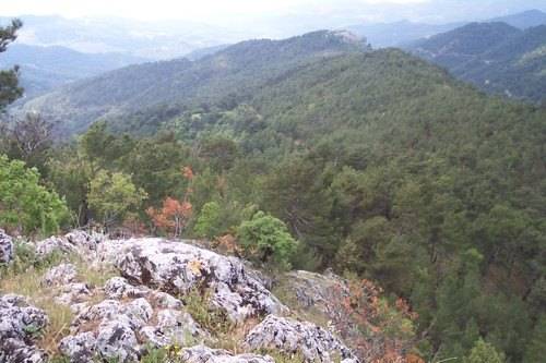 Bergama Çamavlu Köyü Resimleri 2