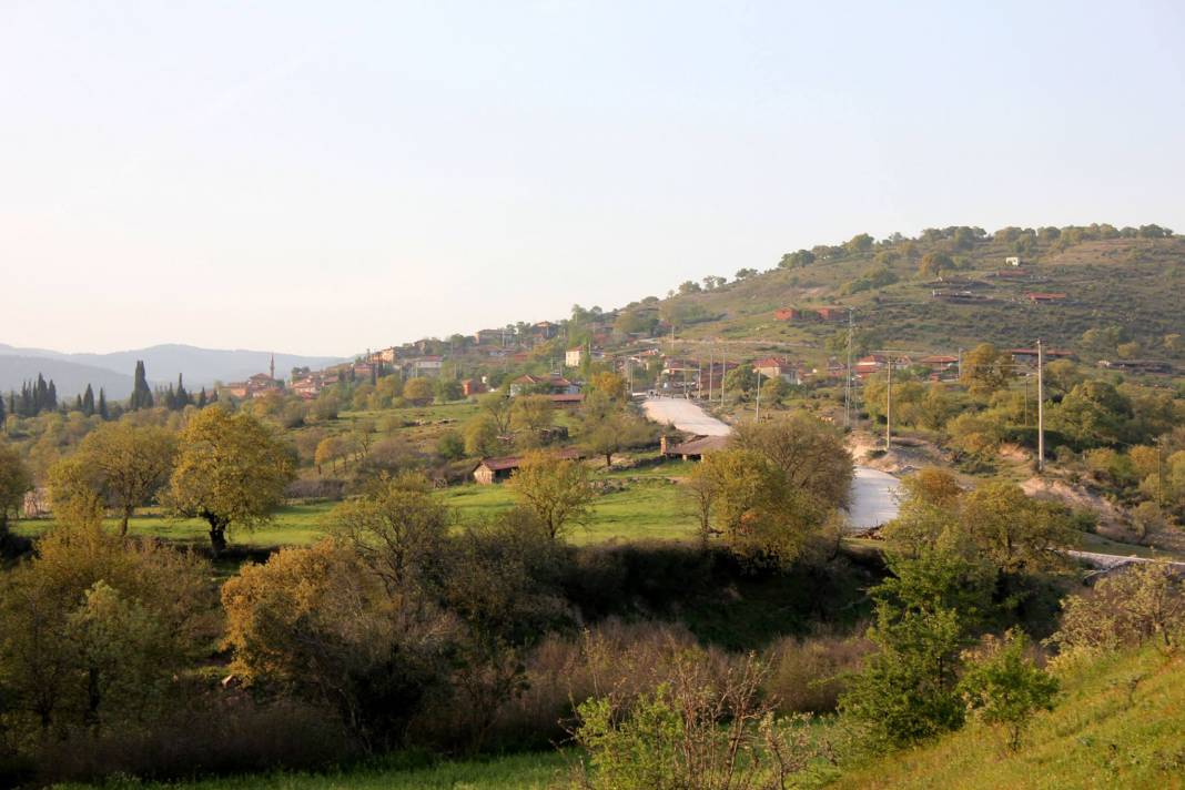 Bergama Çeltikçi Köyü Resimleri 7