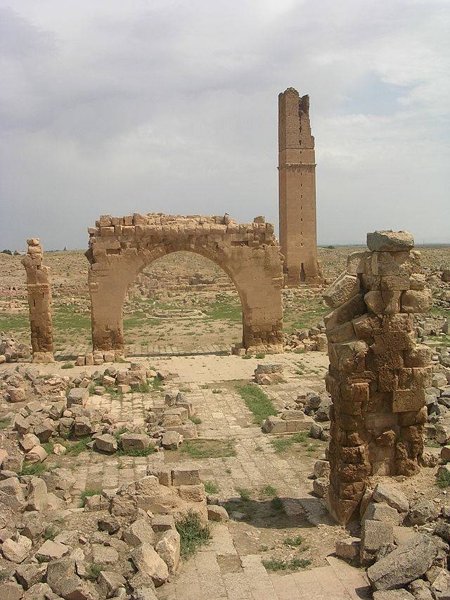 Harran Aydıncık Köyü Resimleri 9