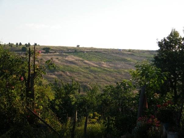 Şile Bucaklı Köyü Resimleri 2