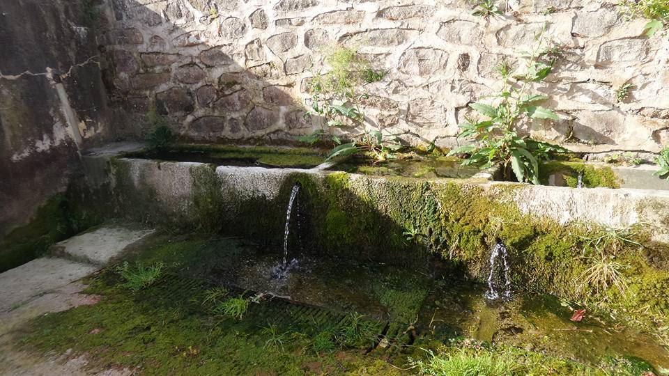 Şile Bucaklı Köyü Resimleri 3