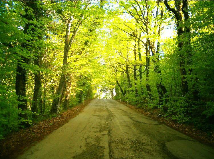 Şile Çataklı Köyü Resimleri 3