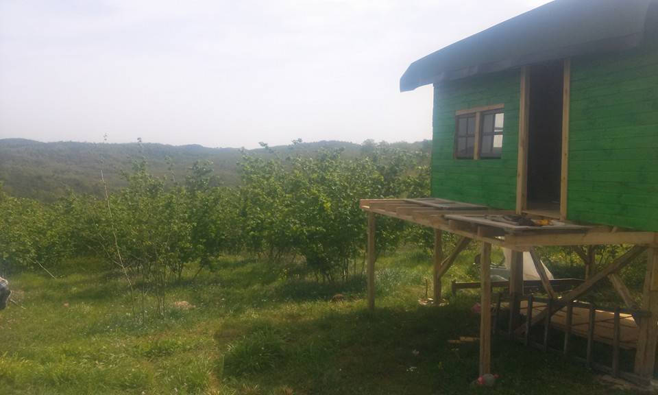 Şile Çataklı Köyü Resimleri 6