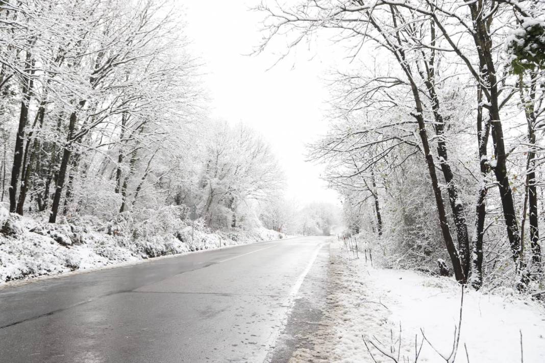 Şile Çataklı Köyü Resimleri 7