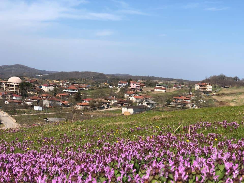 Şile Çengilli Köyü Resimleri 6