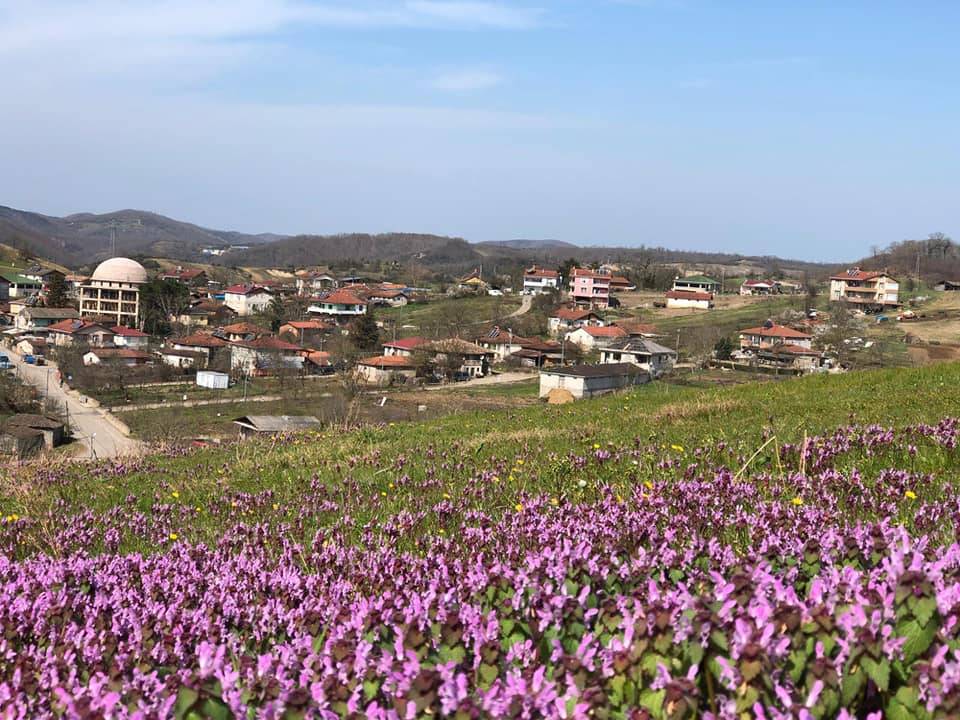 Şile Çengilli Köyü Resimleri 7
