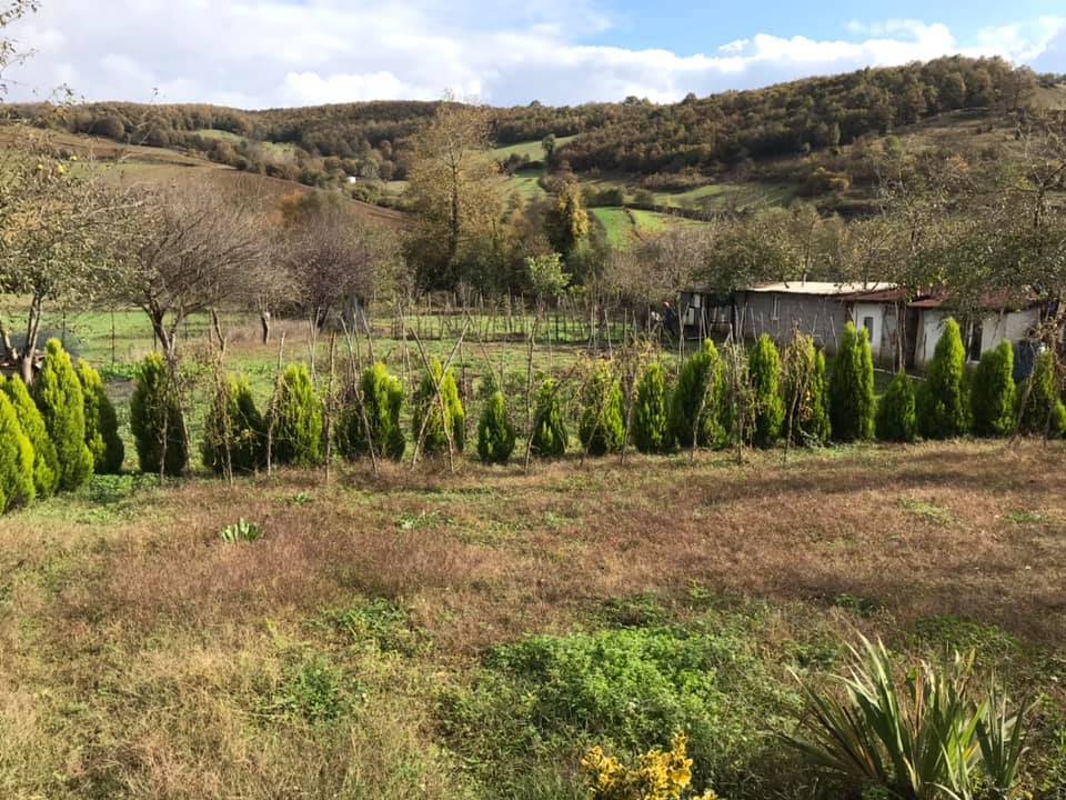 Şile Değirmençayırı Köyü Resimleri 5