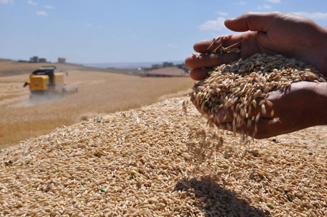 Harran Başkaragöz Köyü Resimleri 2