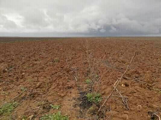 Harran Buğdaytepe Köyü Resimleri 10