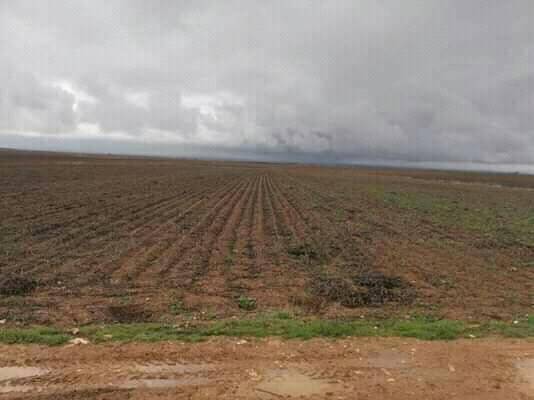 Harran Buğdaytepe Köyü Resimleri 9