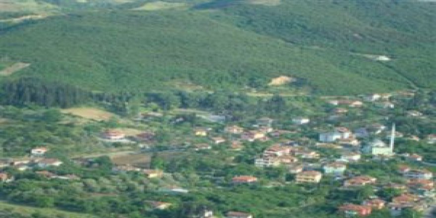 Kızıltepe Alemdar Köyü Resimleri