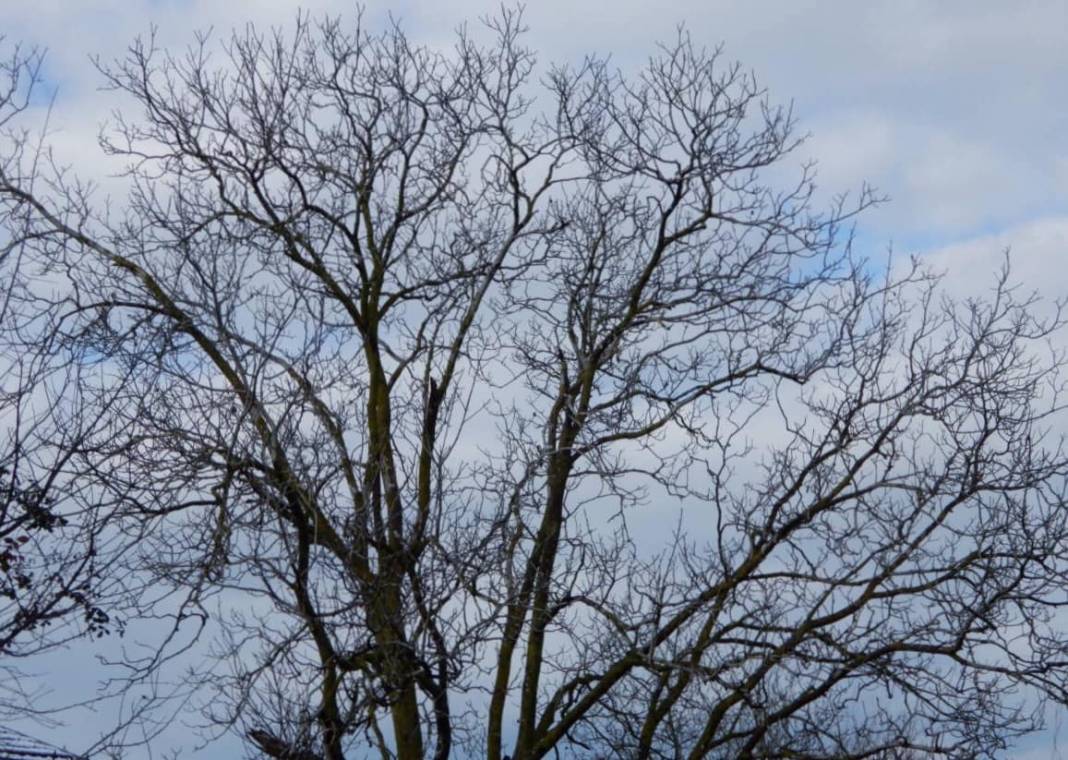 Şile İmrendere Köyü Resimleri 2