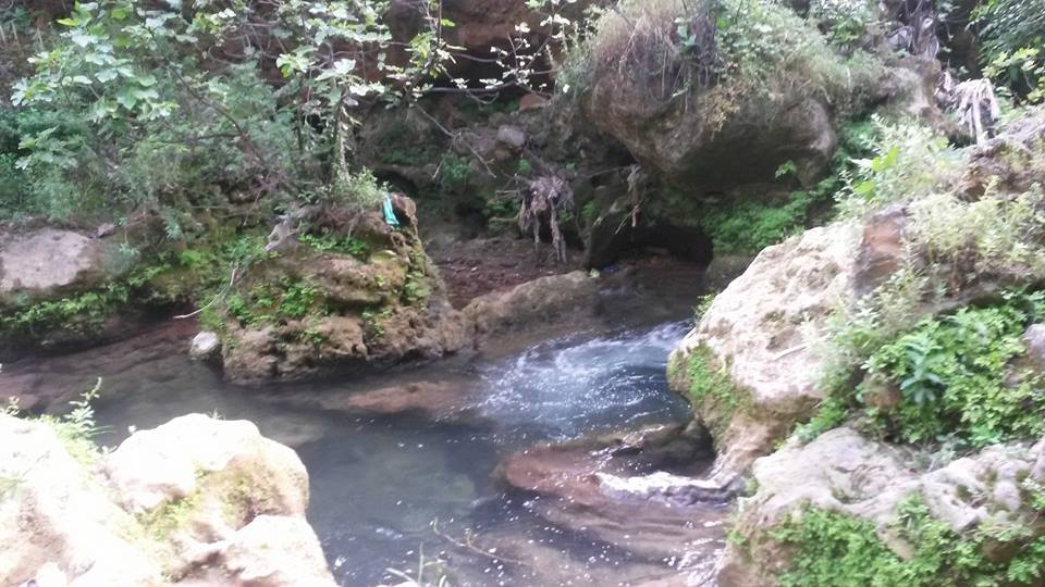 Kızıltepe Alipaşa Köyü Resimleri 1