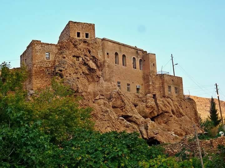 Kızıltepe Alipaşa Köyü Resimleri 5